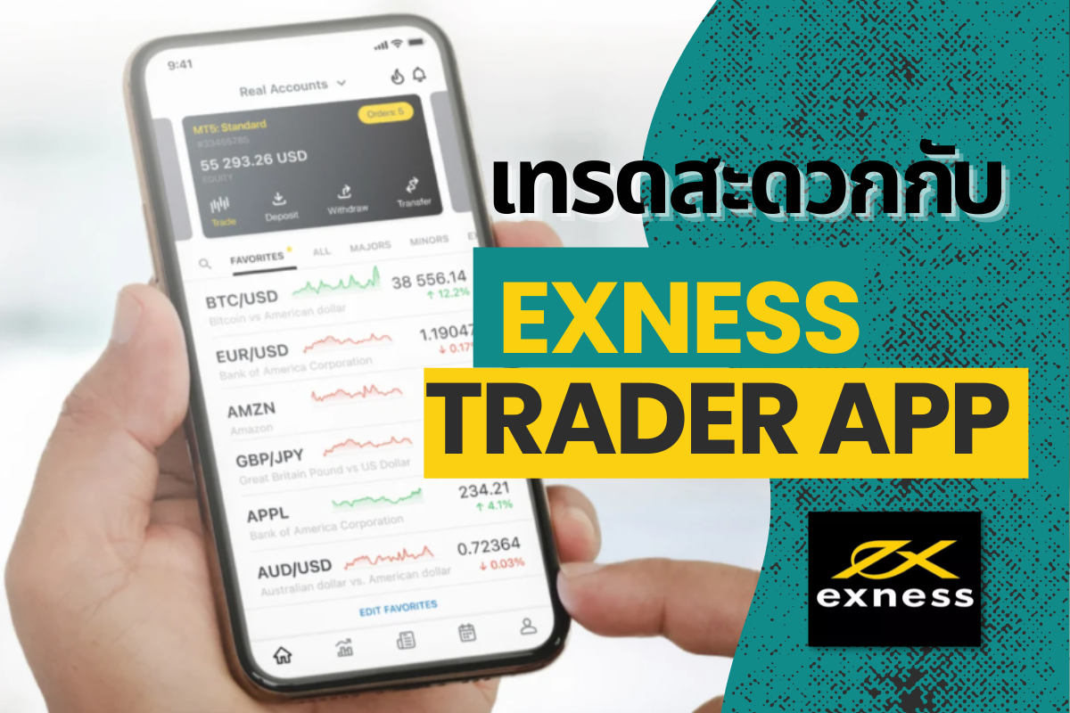 What is Exness Graph? What sorts of graphes are consisted of?